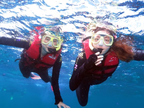 Australia Hub scuba diving