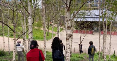 Cornell Spring Break Program in London - Global Health and Environmental Justice