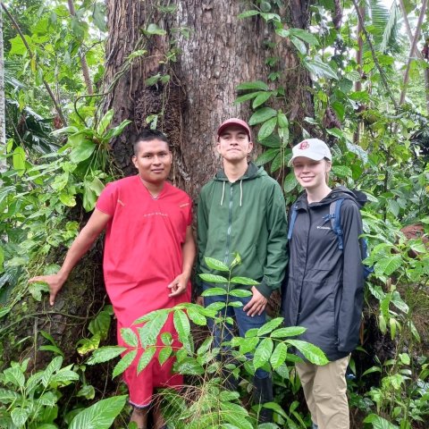 Students in jungle