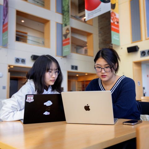 students working on laptop. Cornell Photo