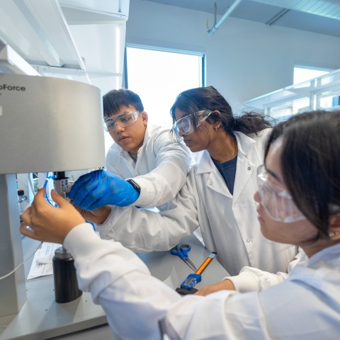 Student researchers in Martin Y. and Margaret Lee Tang Hall